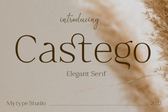 Castego: A Stylish Serif Font for Marketers