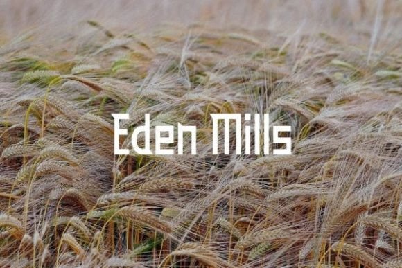 Eden Mills: A Font That Shines