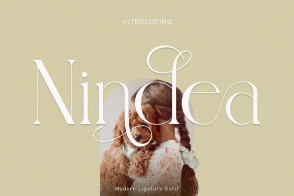 Nindea: A Stylish Serif for Web Design
