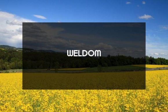 Weldom: A Modern Font for Crafters